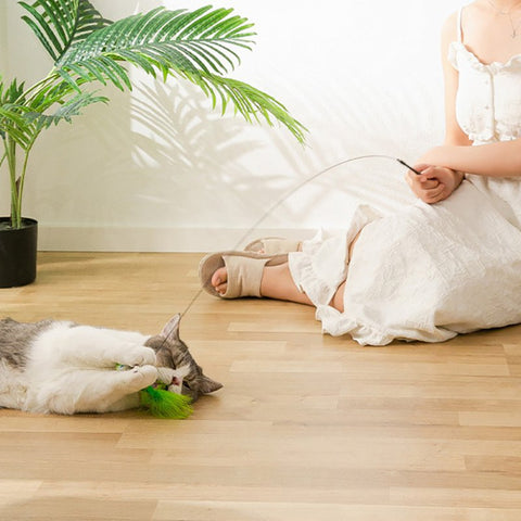 Birdy™ - Cat Toy