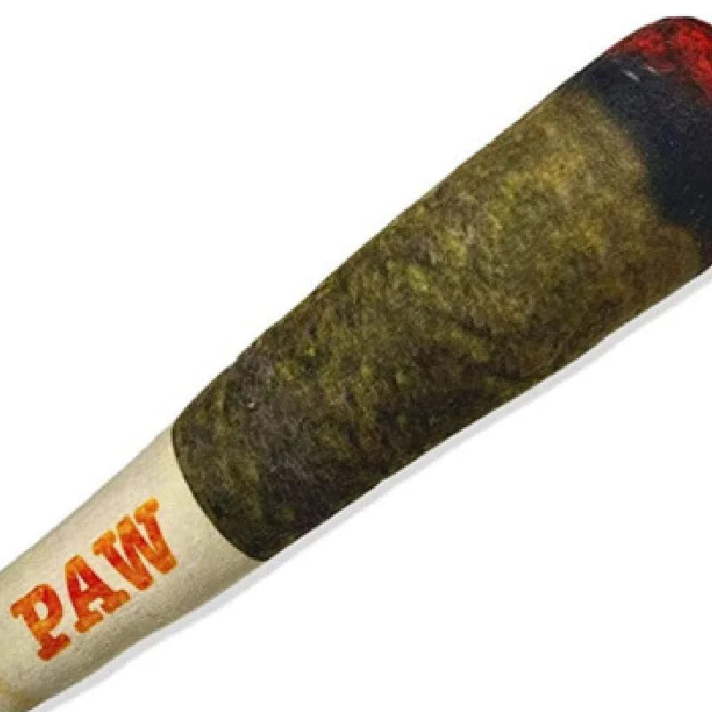 Funny Cigar - Dog Toy