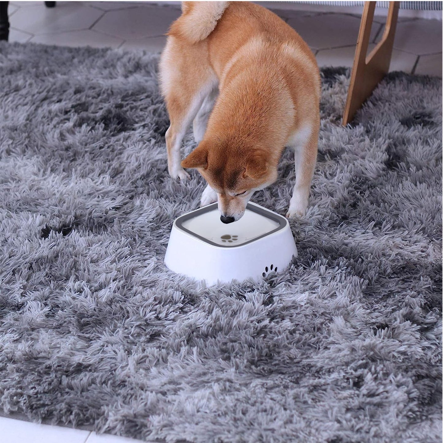 PetHaven - Non Spill And Slip Pet Bowl