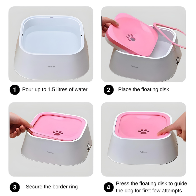 PetHaven - Non Spill And Slip Pet Bowl