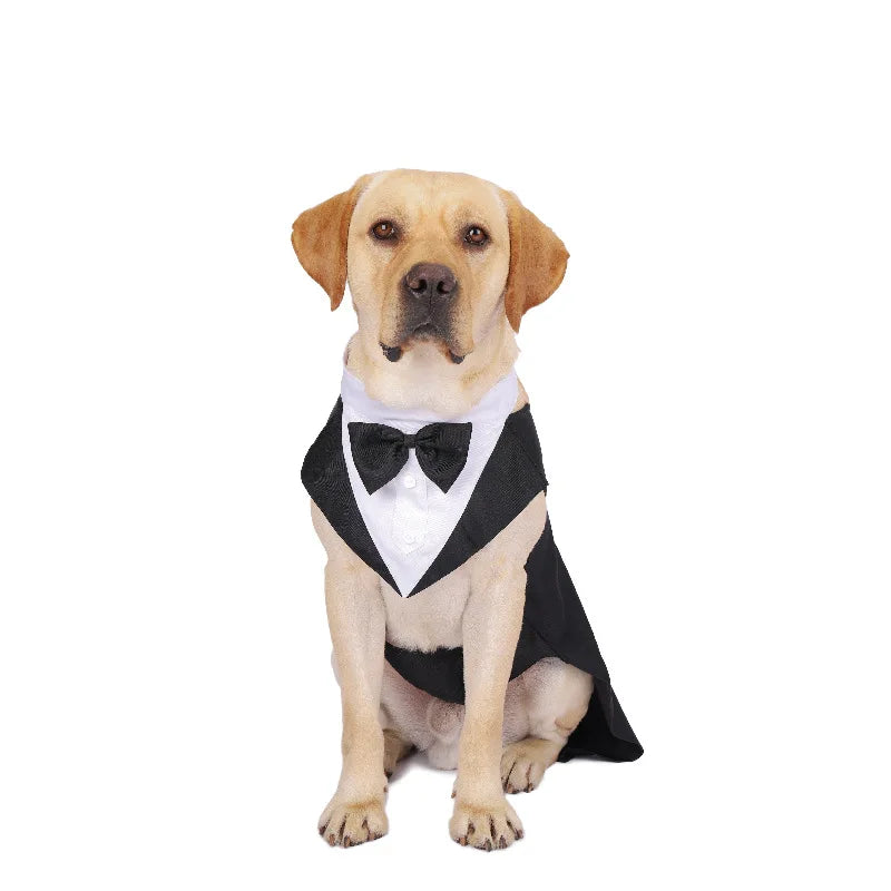 Handsome Gentleman - Dog Costume