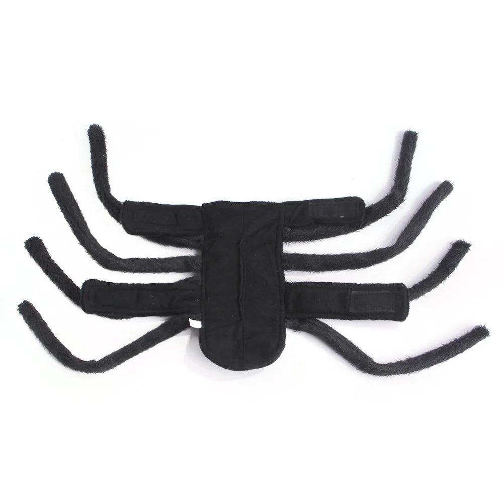 Spider Dog Costume