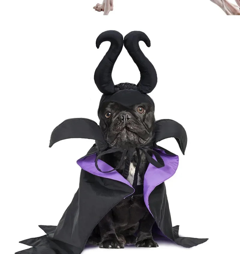 Magical Witch - Spooky Costume