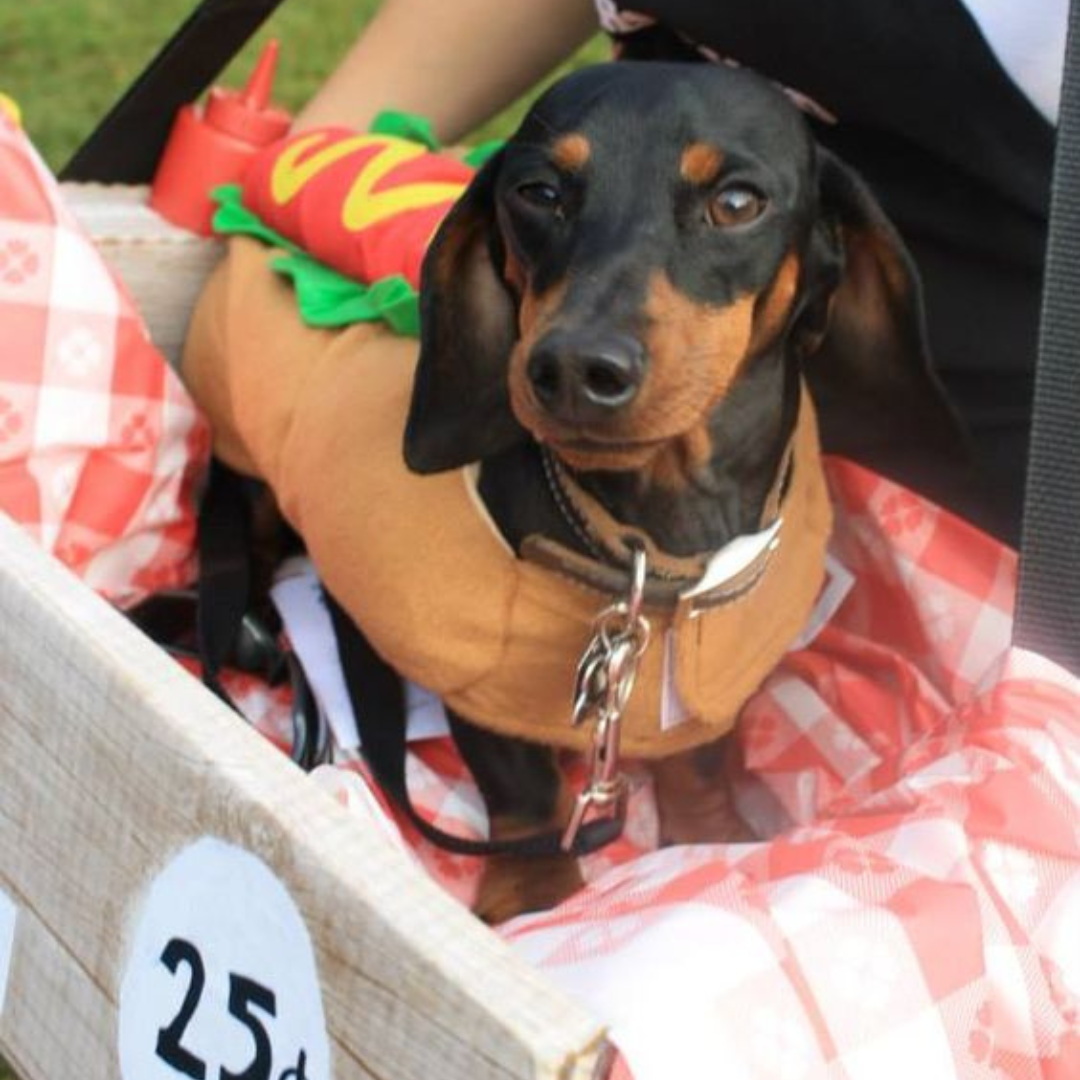 Hot Dog Costume