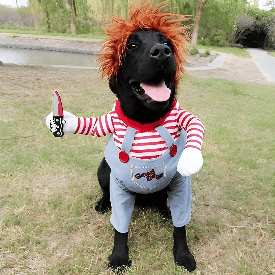 Limited Edition: Chucky Dog Costume