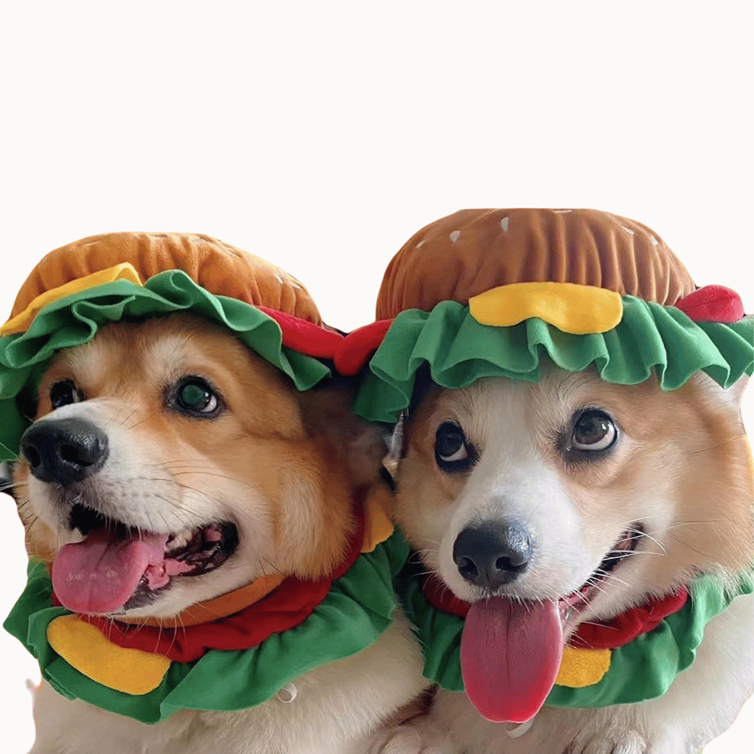 Burger Hat - Dog & Cat Costume