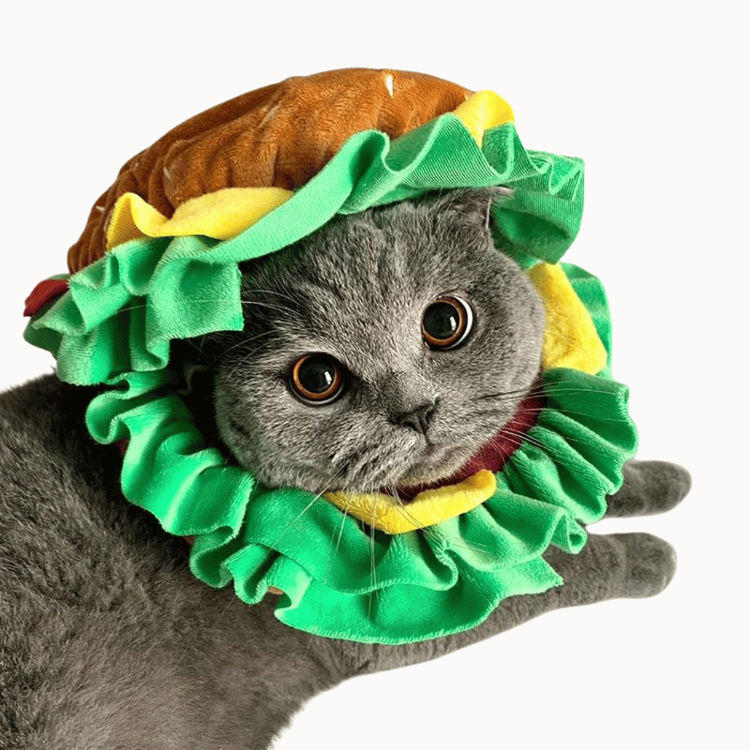 Burger Hat - Dog & Cat Costume