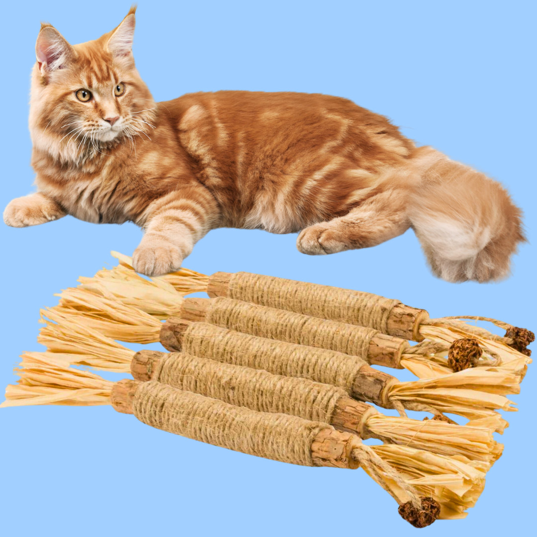 Silvervine Dental Stick (x5 sticks) - Cat Toy