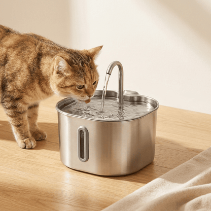 The KittySip™ - 2.2L Fountain