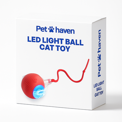 Chasing Ball - Cat Toy