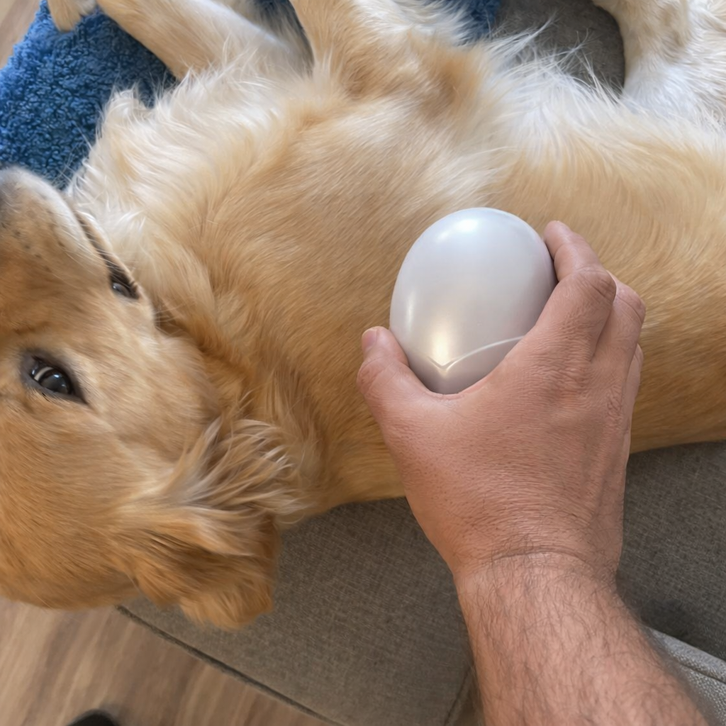 Purr Ease™ - Original Pet Massager