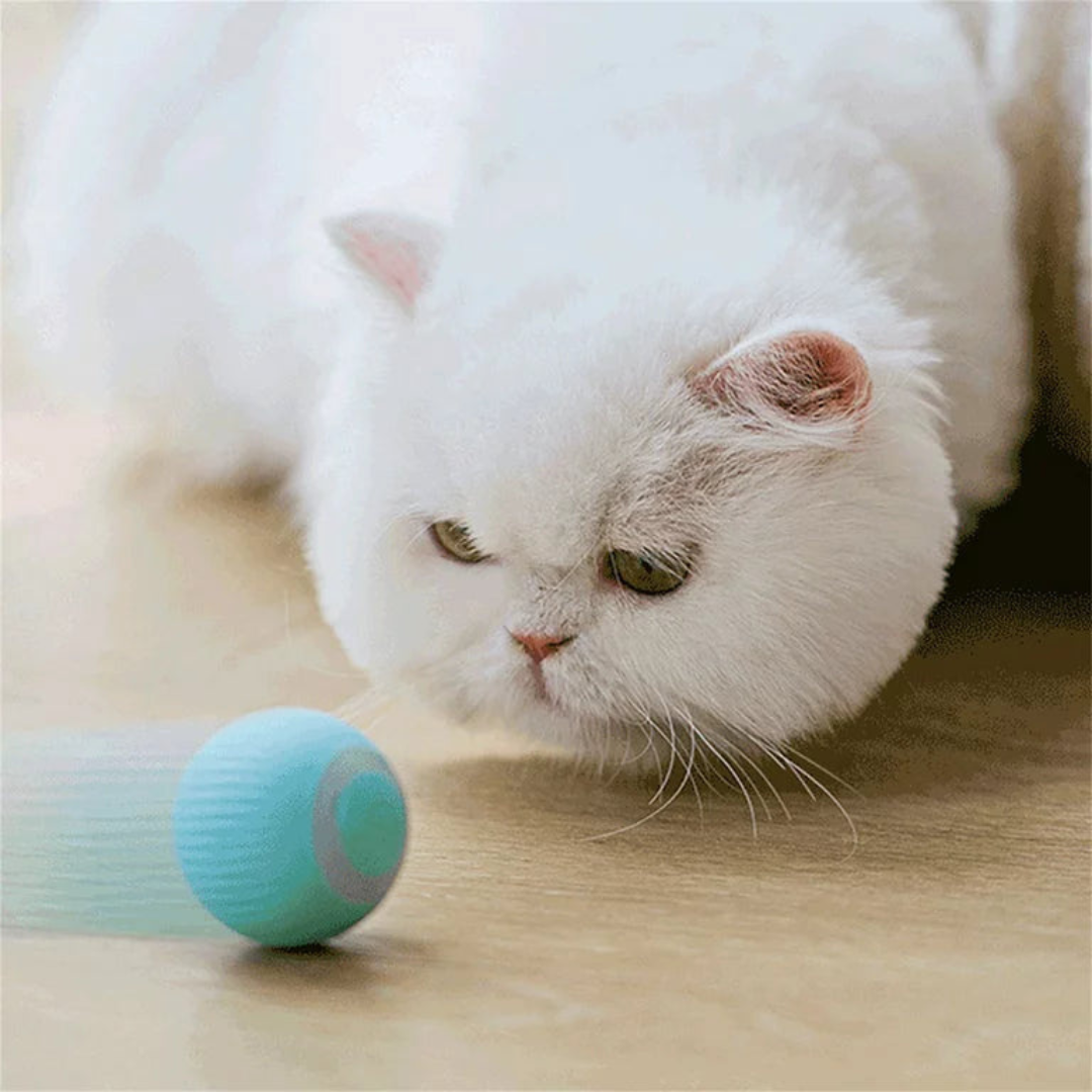 Gravity Smart Ball - Cat Toy