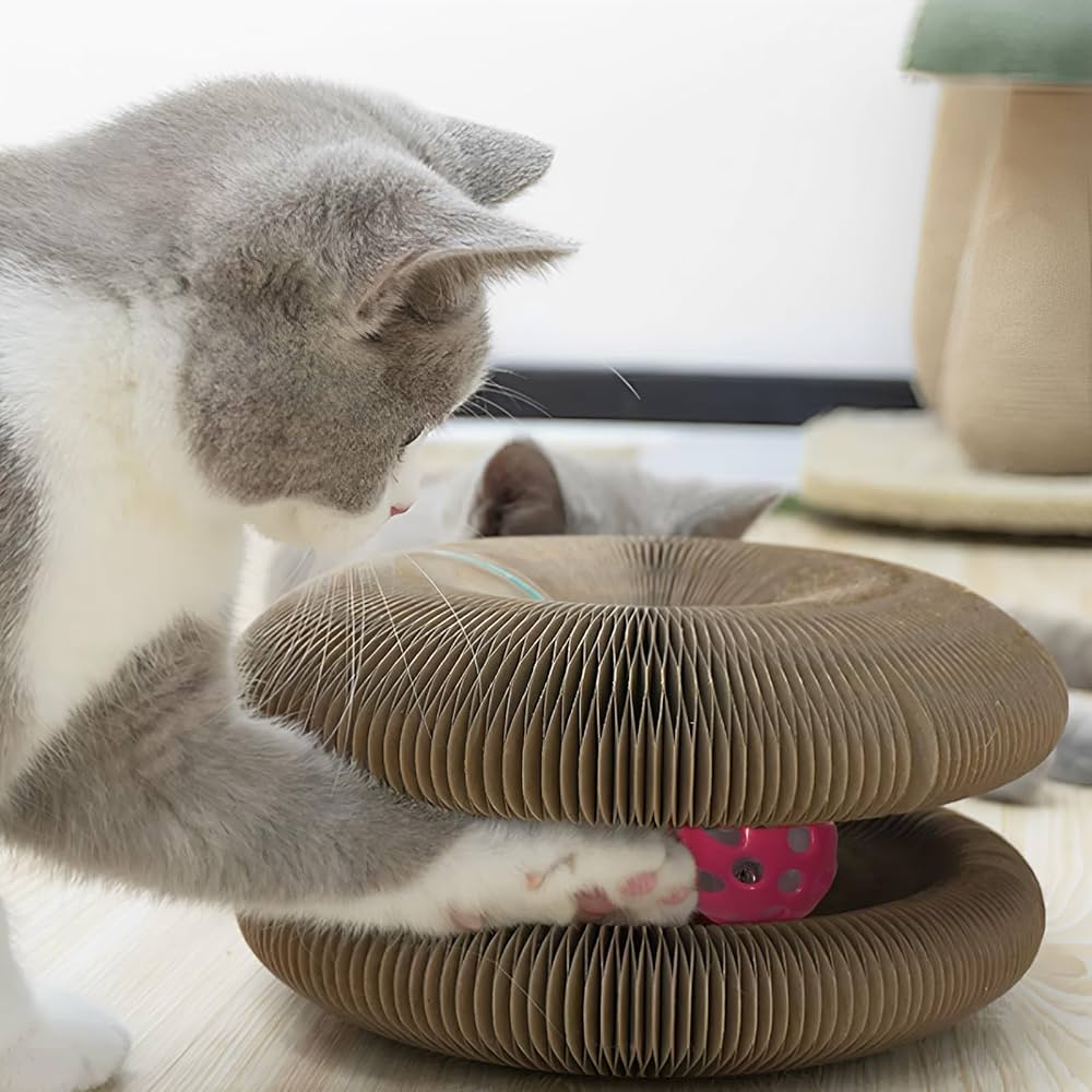 Whisker Whirlz™