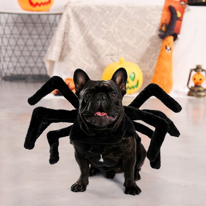 Spider Dog Costume