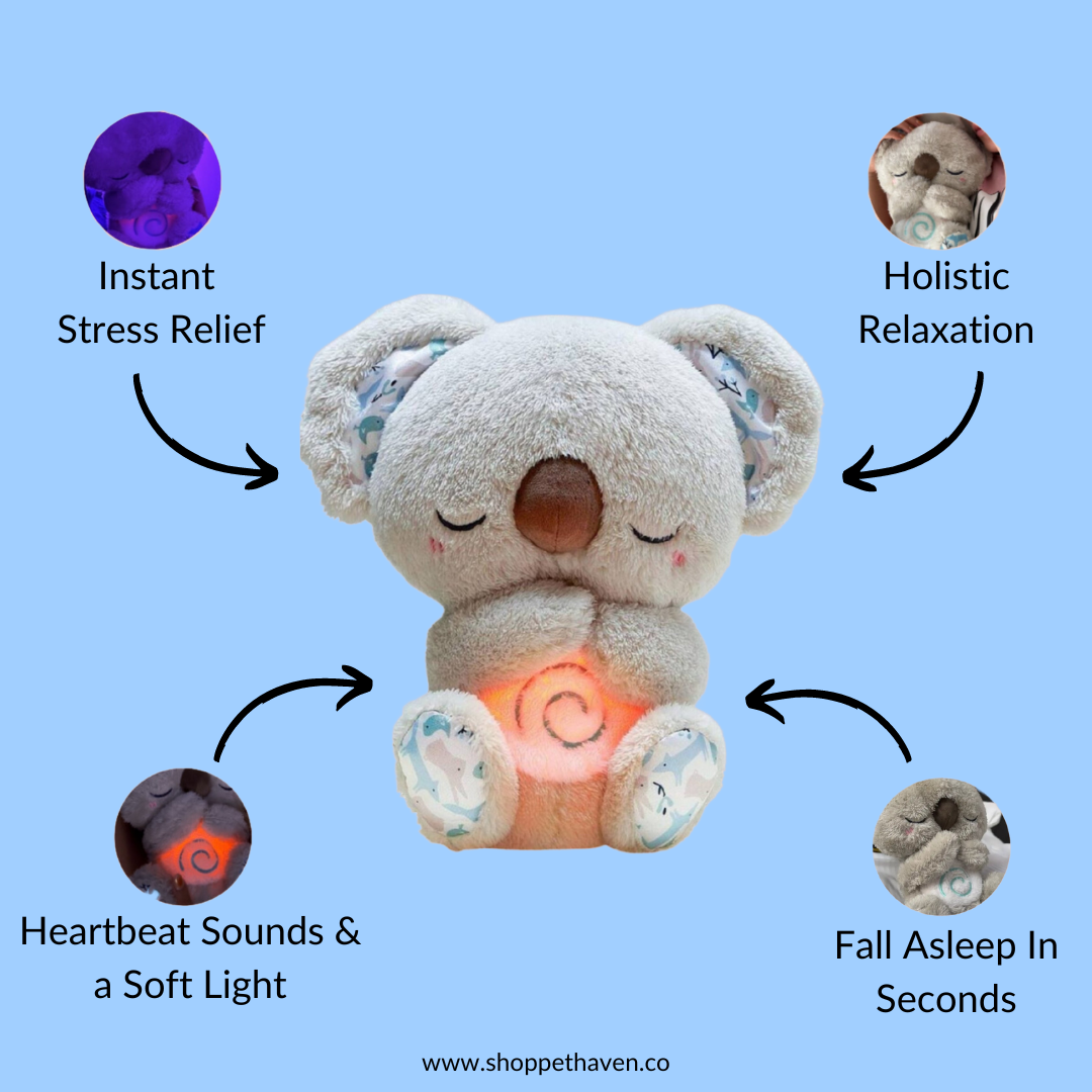The Relief Koala - PetHaven