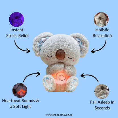 The Relief Koala - PetHaven