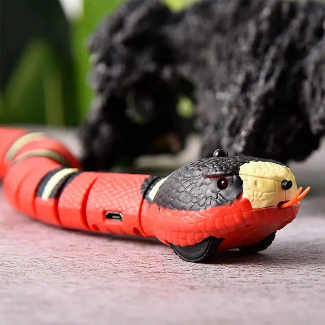 Smart Snake - Cat Toy