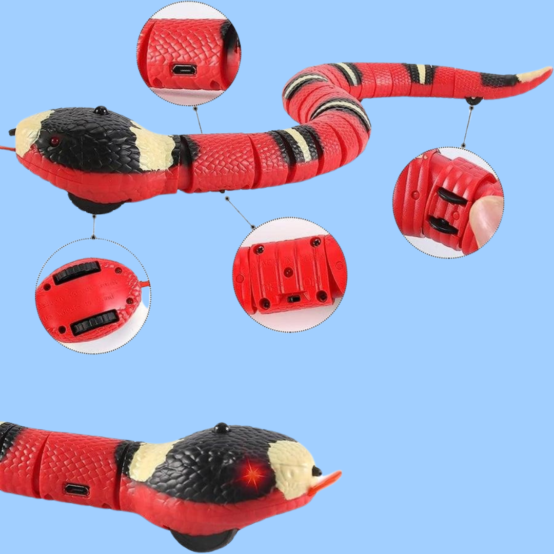 Smart Snake - Cat Toy