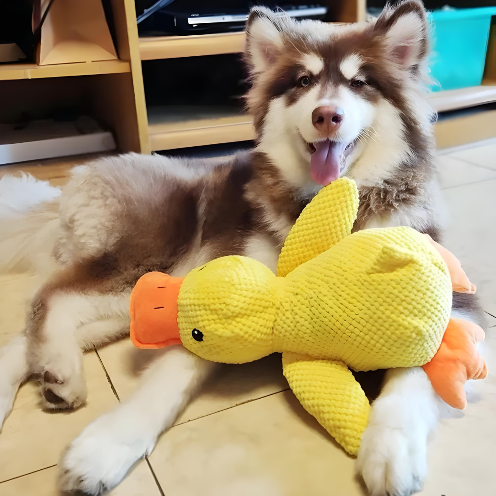 Calming Duck - Dog Toy