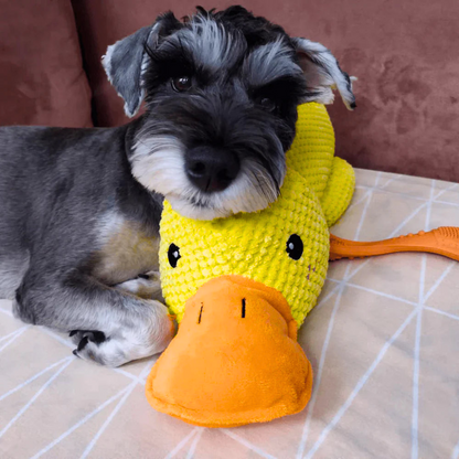 Calming Duck - Dog Toy