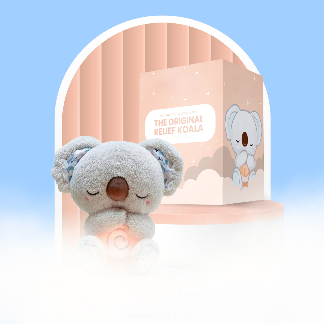 The Relief Koala - PetHaven