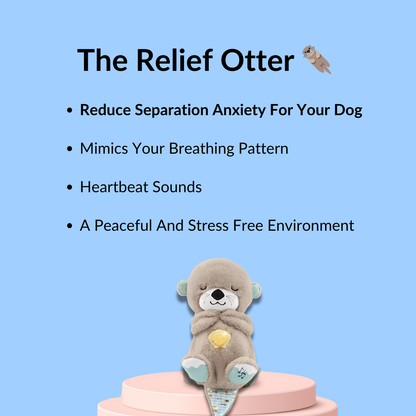 The Relief Otter - PetHaven