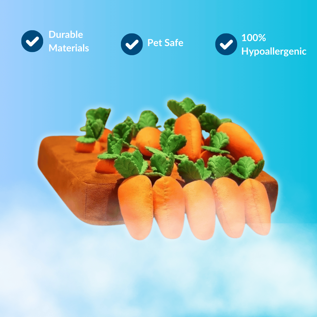 Carrot Garden™ - Interactive Cat Toy