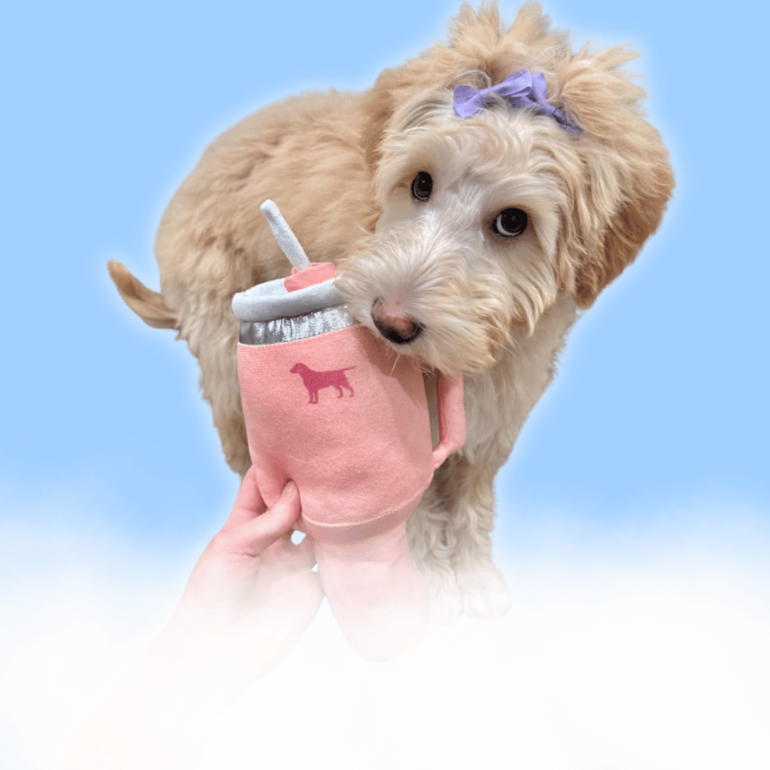 Pup Cup™ - Calming Dog Toy