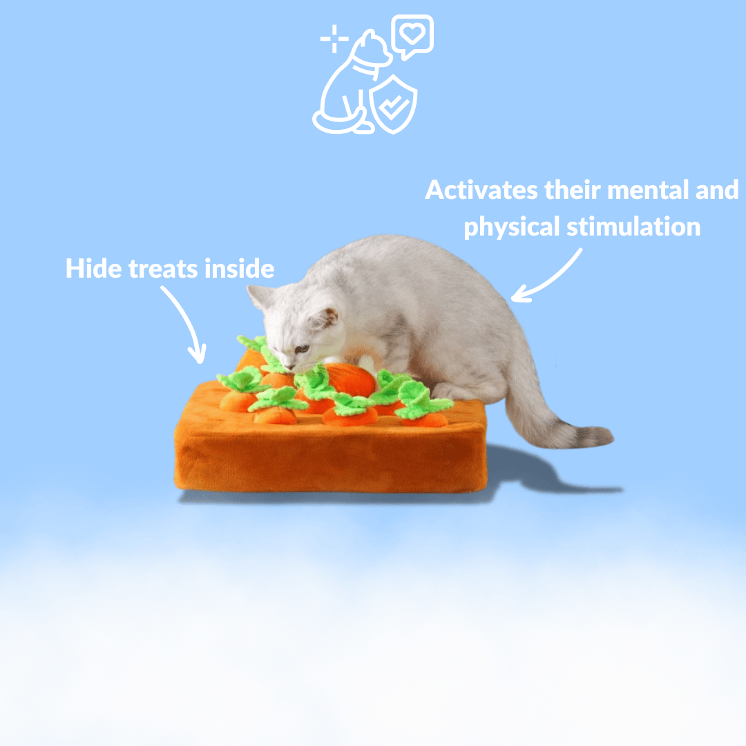 Carrot Garden™ - Interactive Cat Toy