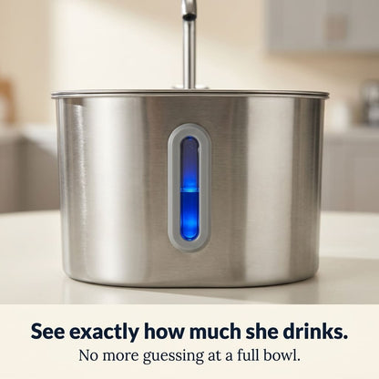 KittySip™ Stainless Steel Cat Water Fountain