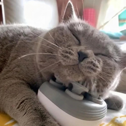 Purr Ease™ - Original Pet Massager