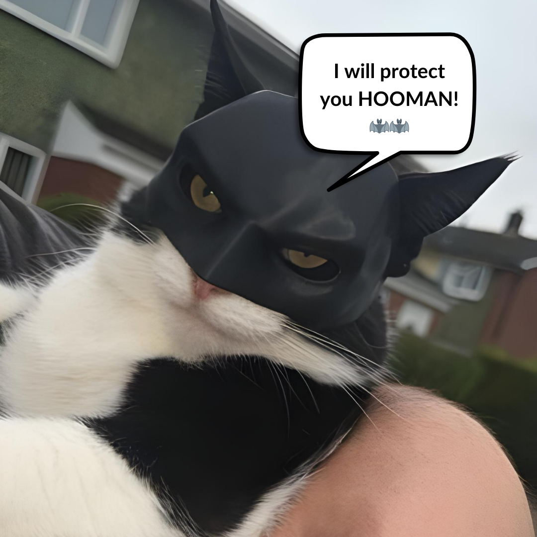 CAT BAT MASK™