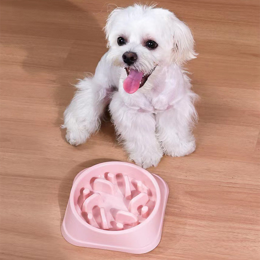 PetHaven™ - Slow Feeder Pet Bowl