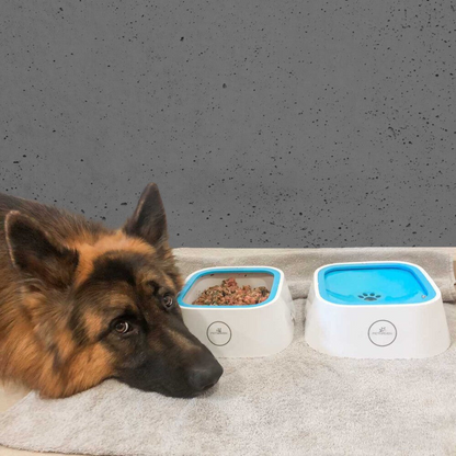 PetHaven - Non Spill And Slip Pet Bowl