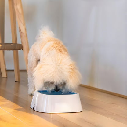 PetHaven - Non Spill And Slip Pet Bowl
