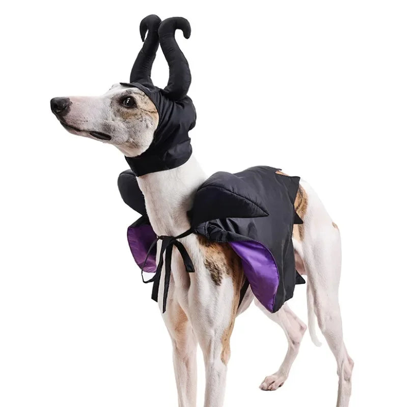 Magical Witch - Spooky Costume