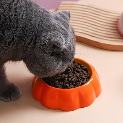 Fruity™ - Ceramic Dog & Cat Water + Food Bowl