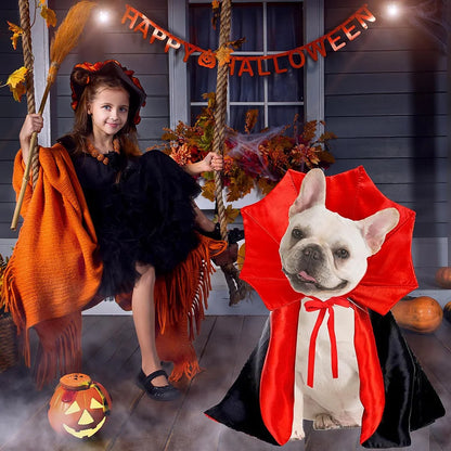 Dracula's Cloak - Halloween Costume