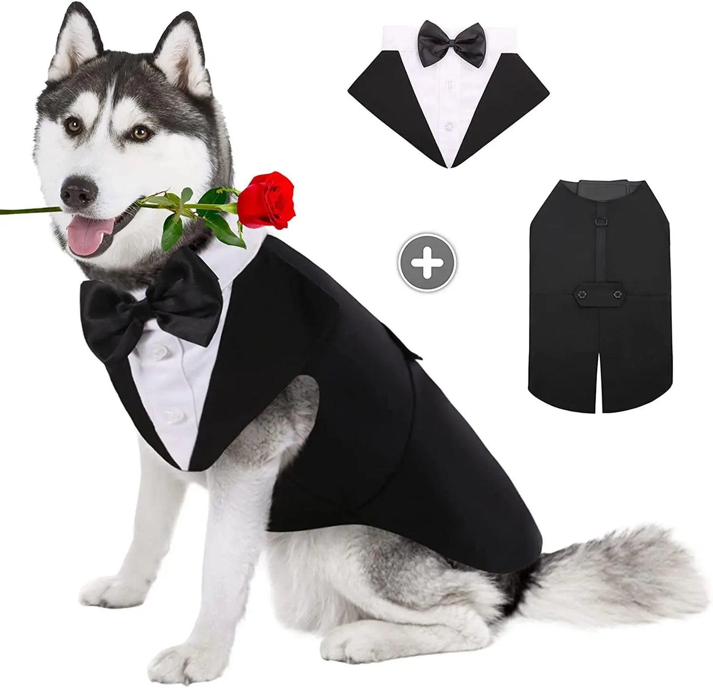 Handsome Gentleman - Dog Costume