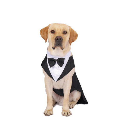 Handsome Gentleman - Dog Costume