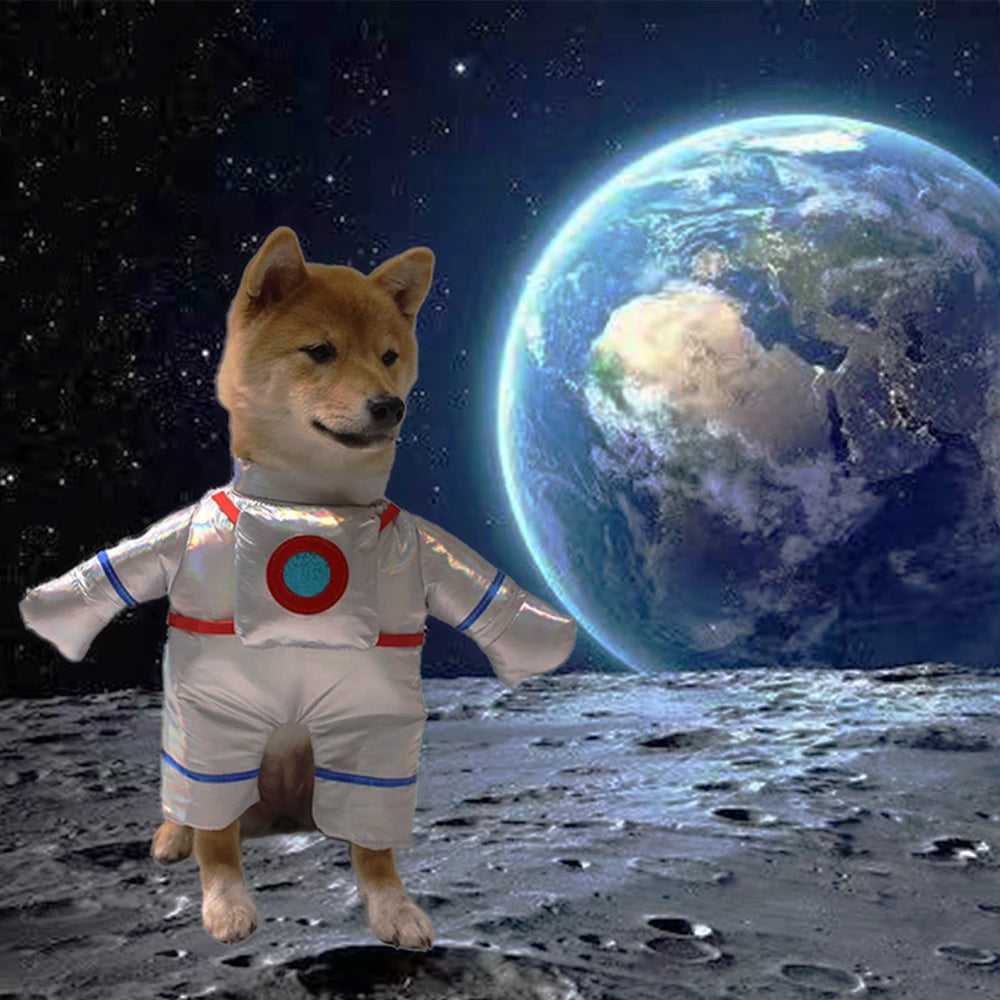 Astronaut - Dog Costume