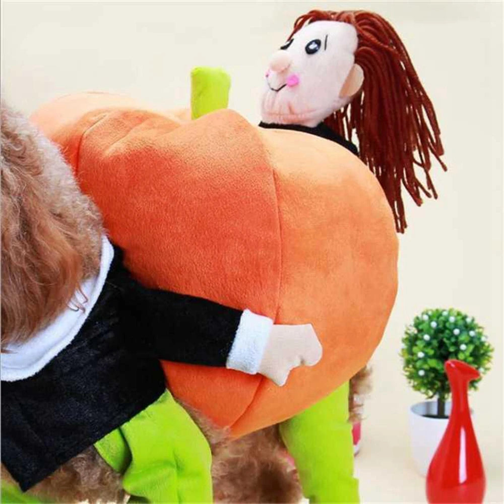 Pumpkin Patch Dog Costume