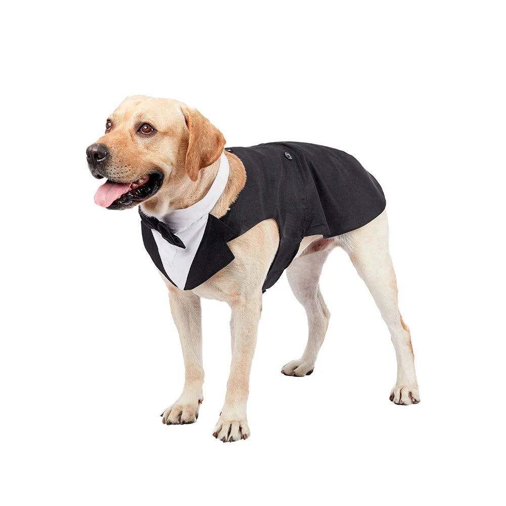Handsome Gentleman - Dog Costume