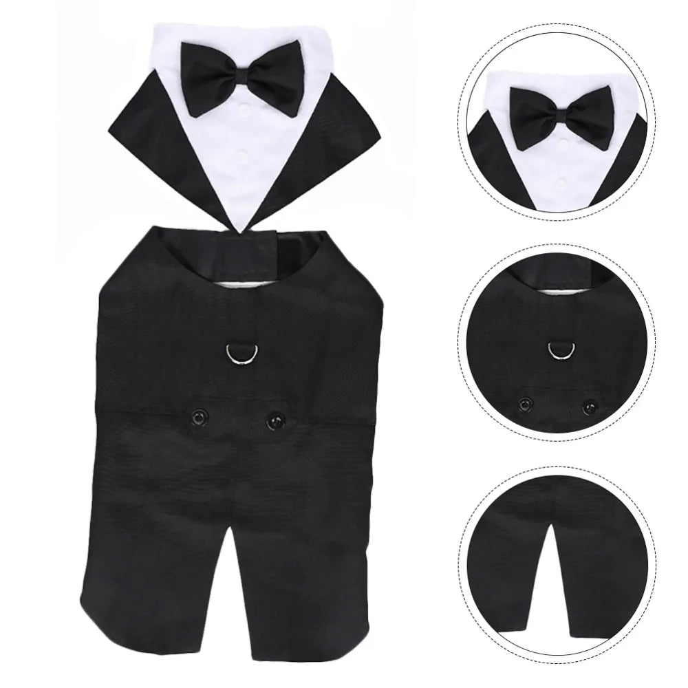 Handsome Gentleman - Dog Costume