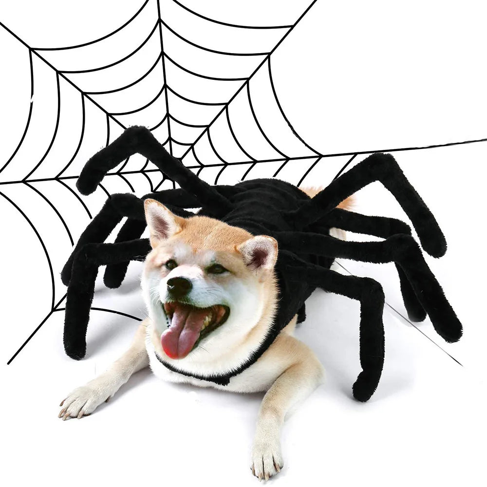 Spider Dog Costume