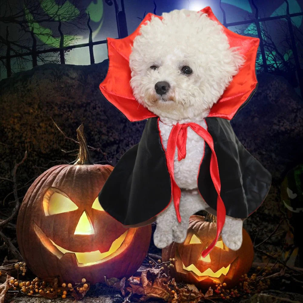 Dracula's Cloak - Halloween Costume
