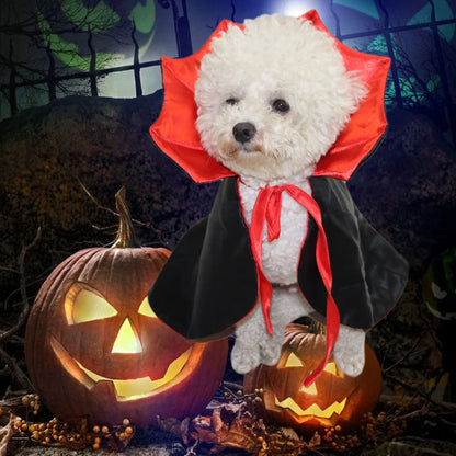 Dracula's Cloak - Halloween Costume