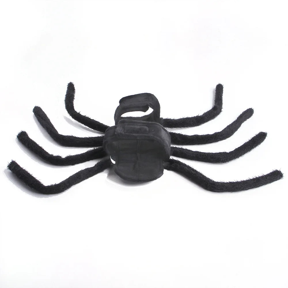 Spider Dog Costume