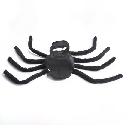 Spider Dog Costume
