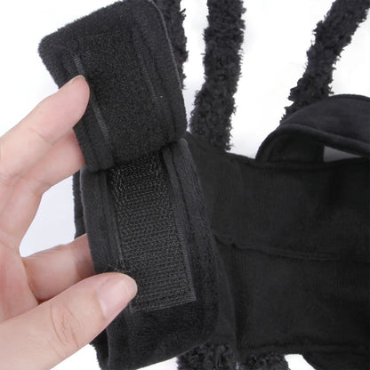 Spider Dog Costume